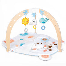 Cargar imagen en el visor de la galería, Gimnasio de actividades